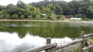 2012-0922-130043360_R.JPG